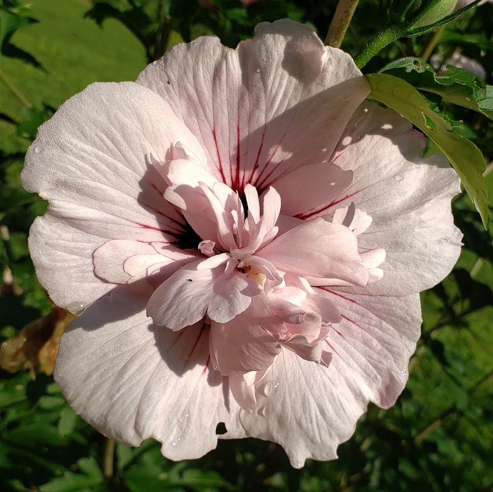 Meet your Posher, Kai